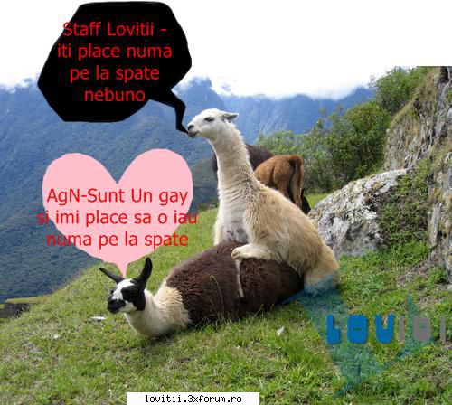 :finger:  :finger:  :finger:  :finger: agn o ia in cur de la lovitii